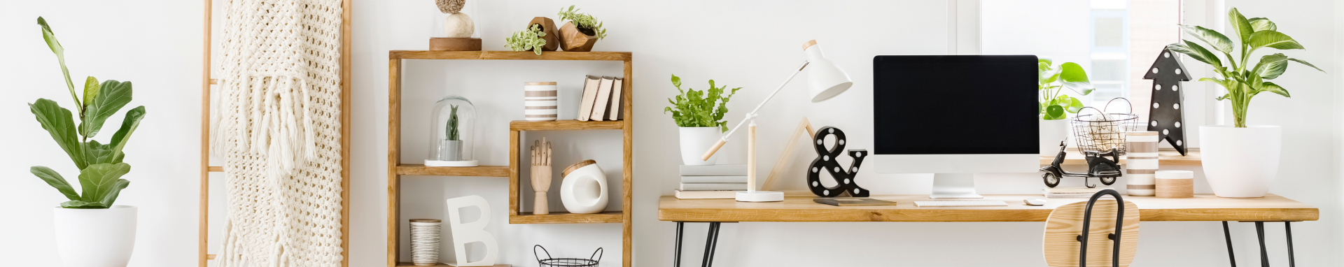 Categorías de búsqueda