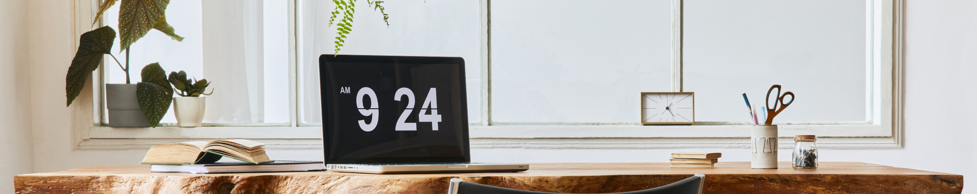 Categorías de búsqueda